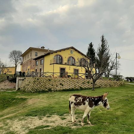 Agriturismo Antica Corte Montatteglia Eksteriør billede
