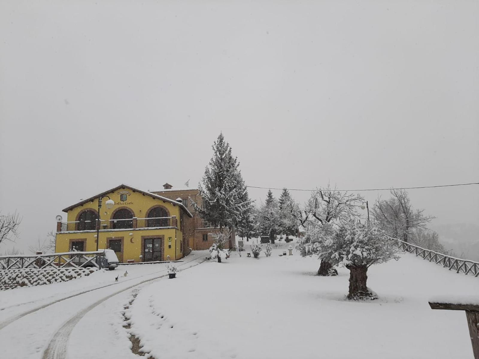 Agriturismo Antica Corte Montatteglia Eksteriør billede