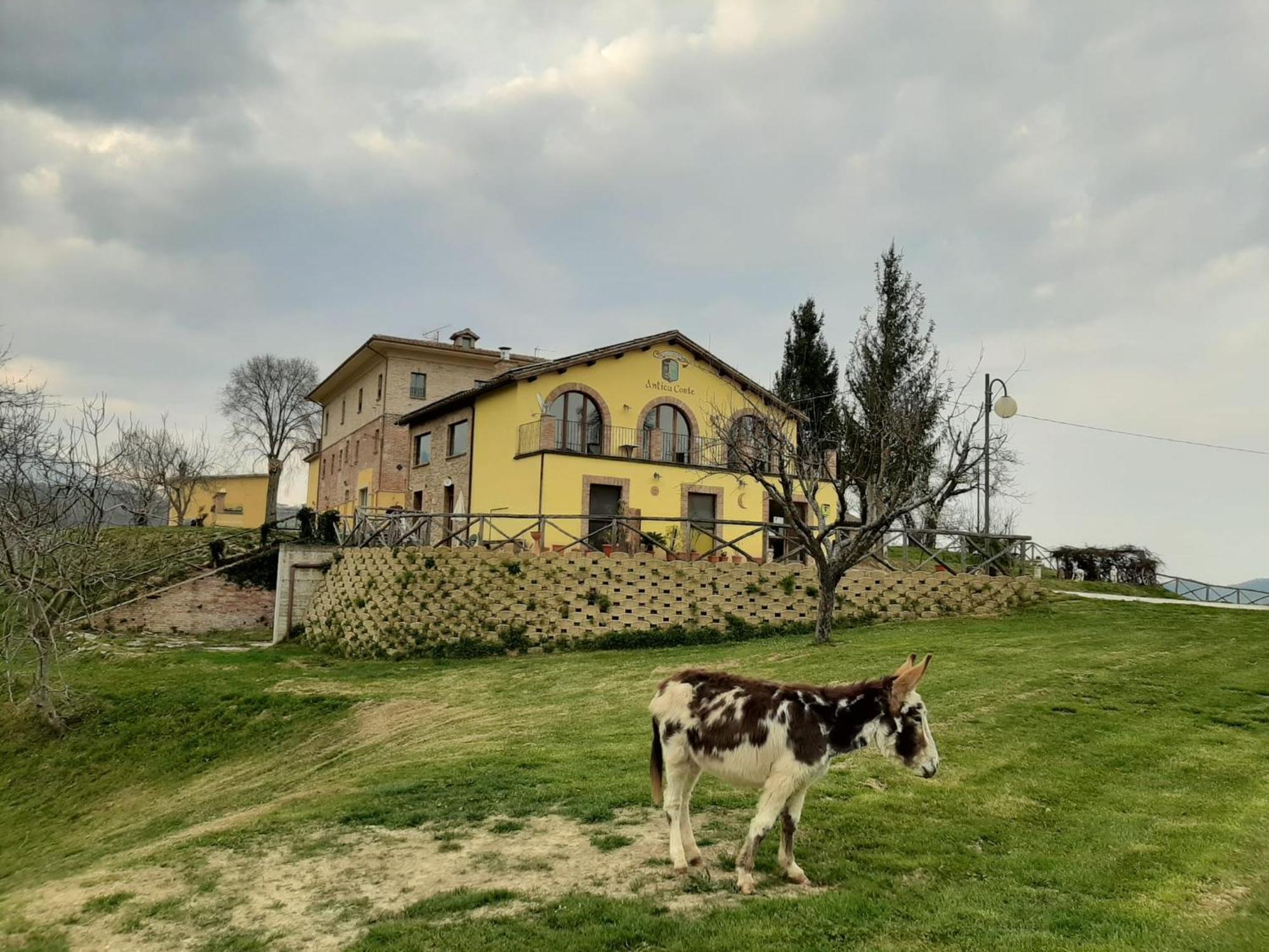 Agriturismo Antica Corte Montatteglia Eksteriør billede
