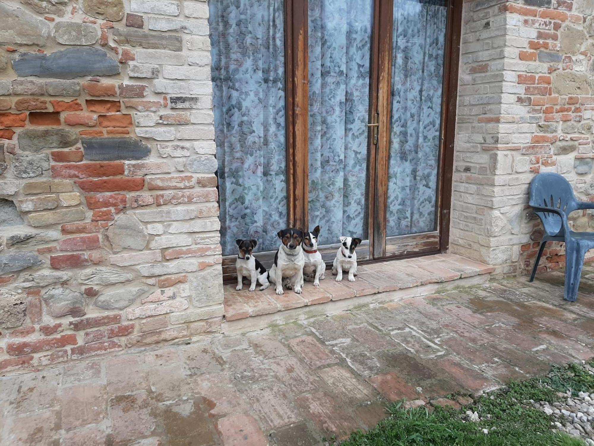 Agriturismo Antica Corte Montatteglia Eksteriør billede